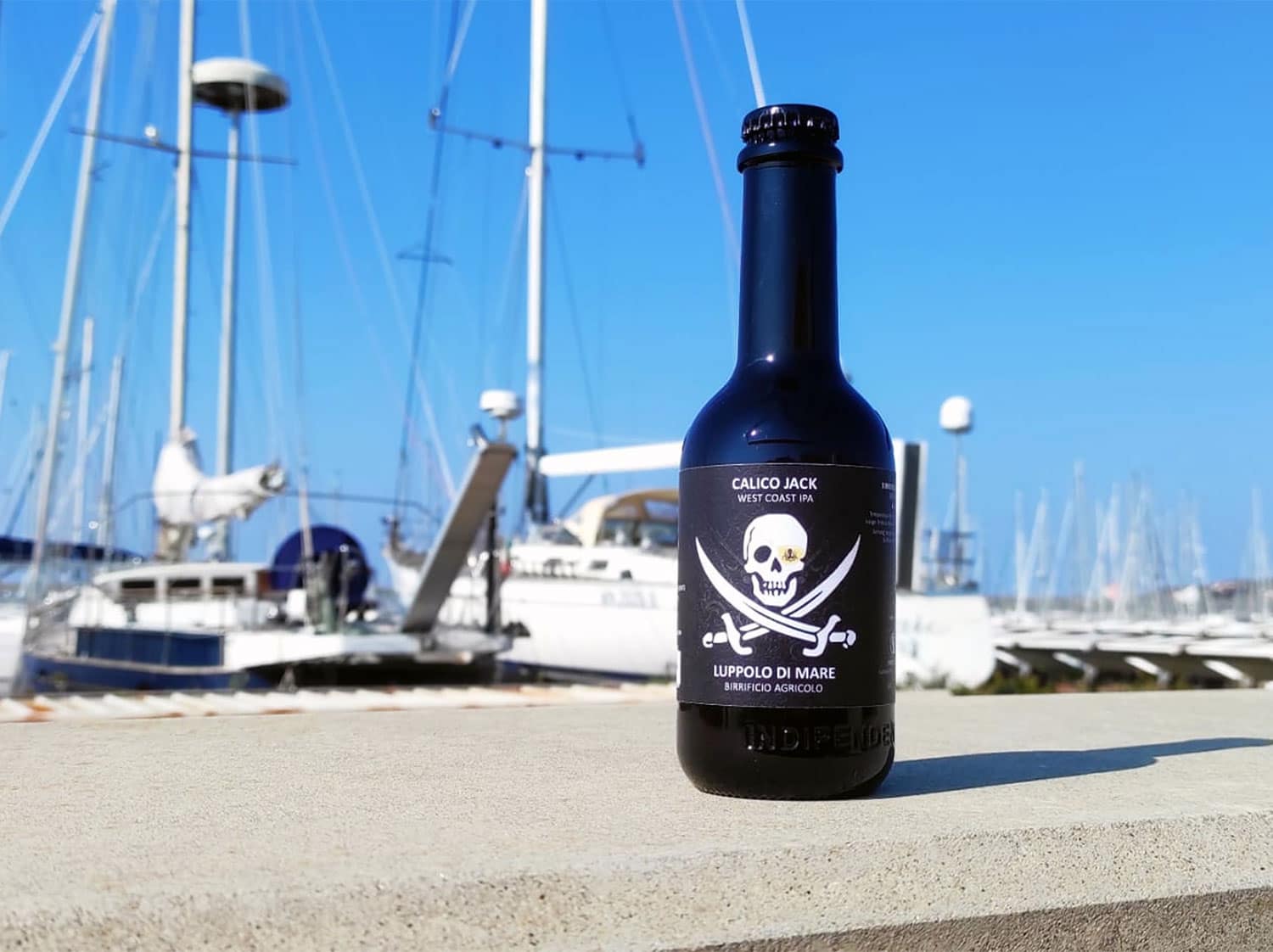 CALICO JACK